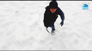 Snowfall | WhatsApp Status Video | KASHMIR RIGHT NOW❗Snowfall Kashmir Weather In Winter Tolipeer