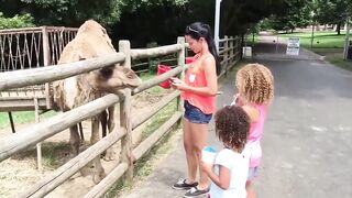 UNEXPECTED Animal ATTACKS! | AFVs Wildest Animal Moments