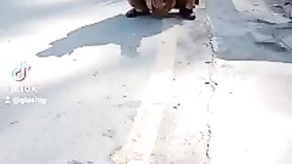Meri daal na biky