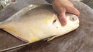 Amazing Golden Travelley Fish Cutting Skill | Fastest Fish Cutting |