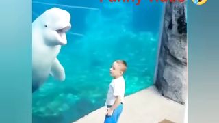 Funny ???????? video
