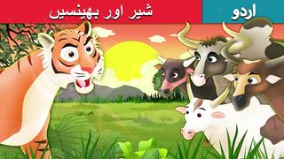 Tiger and buffaloes