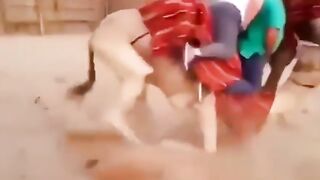 Funny videos