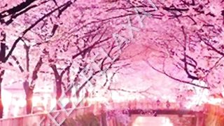 Motivation ***islamicvideo