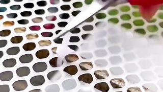 Cool And Smart Appliences For House.