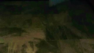 horror cats video , horror cats, doride cats videos, horror animals video
