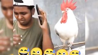 Funny & Said  Love