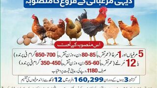 Livestock Dairy Development & Poultry Production Gilgit Baltistan Hunza