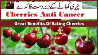 Cherries Anti Cancer  -- American Institute for Cancer Research --