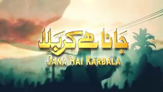 Jana_Hai_Karbala Ali_Shanawar 2022-1444