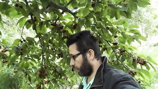 Cherry Season in Hunza Valley  Cherry Fruit In Hunza Valley Gilgit Baltistan Fruits organic food