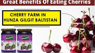 CHERRY FARM IN HUNZA GILGIT BALTISTAN PAKISTAN Cherry Hunza’s fruit