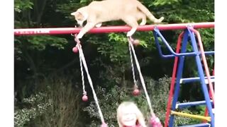 Funny and Entertainment ????