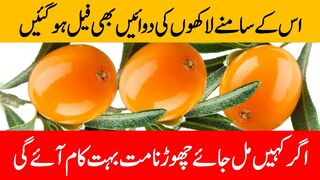 Skin Surgeon Seabuck Thorn Fruit OIL with Magical Guaranteed Benefits / Sea buckthorn comes to the rescue of Pakistan's mountain