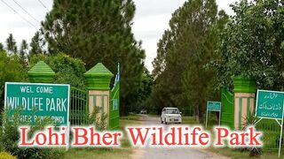 Lohi Bhir Safari Park iSLAMABAD
