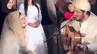 Love birds love song
