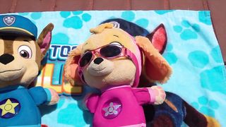 Paw Patrol's Skye and Chase's fun day at the Playground No Bullying at School Baby Pups Videos!.