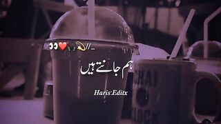 My video