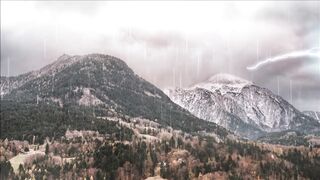 raining scene and forest raining raining day