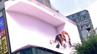 Gaint billboard