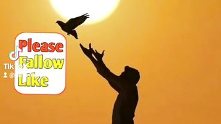 New islamic video