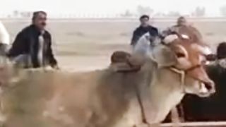 #Sindhi saqafat jo namano