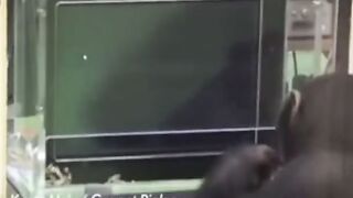 Chimpanzee with amazing skills