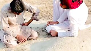 Funny video full comedian