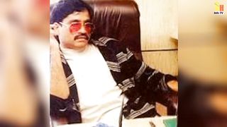Don gri ka Don