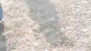 Hen fight  in punjab  pakistan