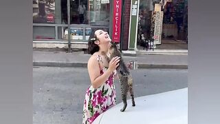 Monkey and cats funny moments