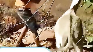 Funny Video