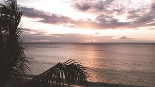 Best Nature Video