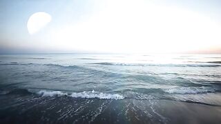 Nature videos