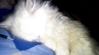 Deeply sleeping