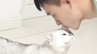 Funny cat