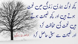 words in urdu . Aqwal e zareen in Urdu . Hind quotes . the meaning in urdu  by khoobsoorat Zindagi