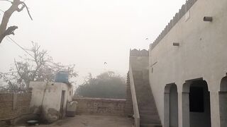 Village Life Style Vlogs