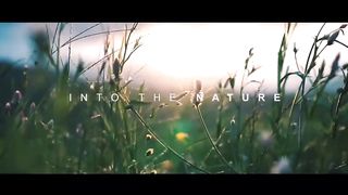 INTO THE NATURE