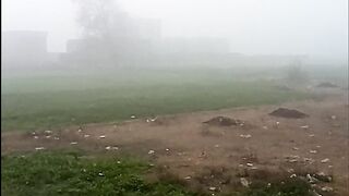 Good morning today lahore weather fog good morning status