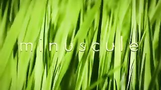 Minuscule CARTOON