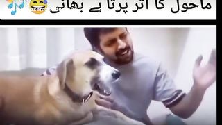 viral tiktok funny video