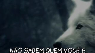 Motivação diária. Inscreva se