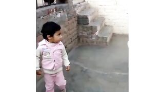 Funny video babay and cat