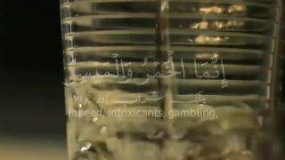 سورت المائدہ