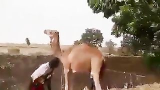 Funny Video