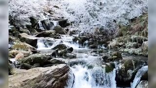 Quran Beautiful Surah Mulk Translation