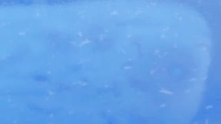 Huge whale