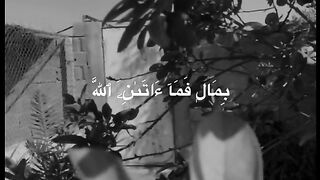 Beautiful voice of quran