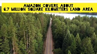 Amazon | the largest Rainforest of World ????|